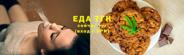 Альфа ПВП Горняк