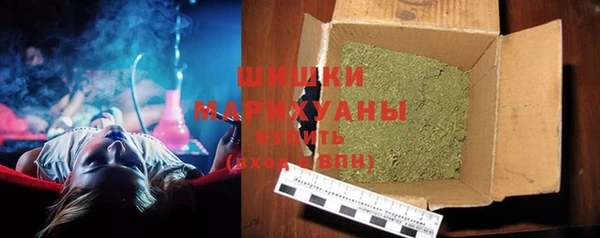 Альфа ПВП Горняк