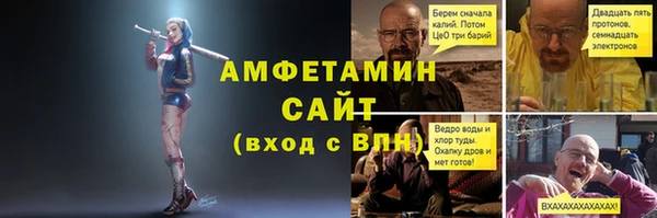 Альфа ПВП Горняк