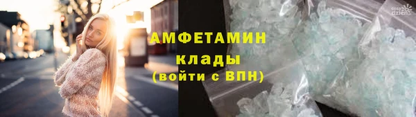 Альфа ПВП Горняк