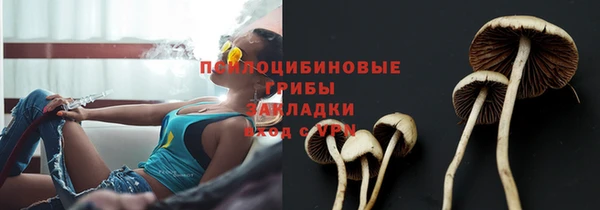 соль ск Горнозаводск