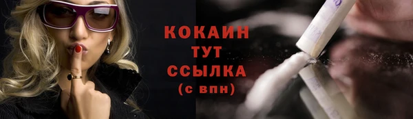соль ск Горнозаводск