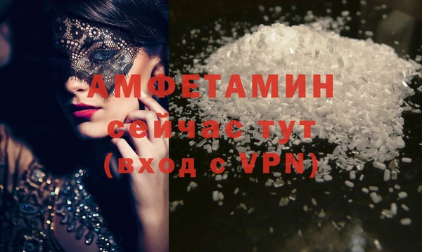 Альфа ПВП Горняк