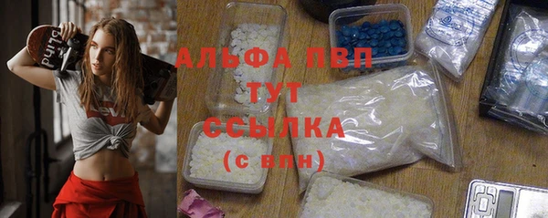 Альфа ПВП Горняк
