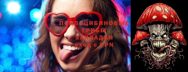 Альфа ПВП Горняк