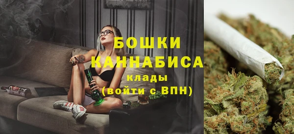 Альфа ПВП Горняк
