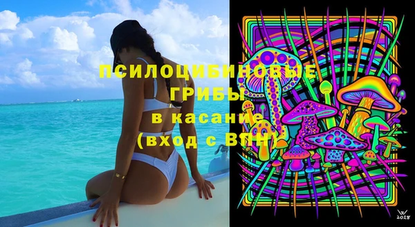 соль ск Горнозаводск