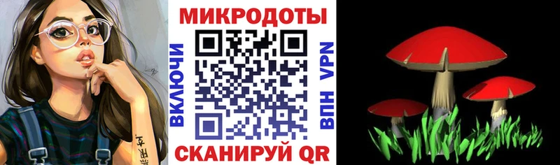 Псилоцибиновые грибы GOLDEN TEACHER  Купить закладки  Карабаш 